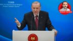 Seçmeli demokrasi: Kimine şeker, kimine zehir