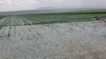 POLATLI’DA 1 MAYIS DOLU FELAKETİ: TARIM ARAZİLERİ ZARAR GÖRDÜ